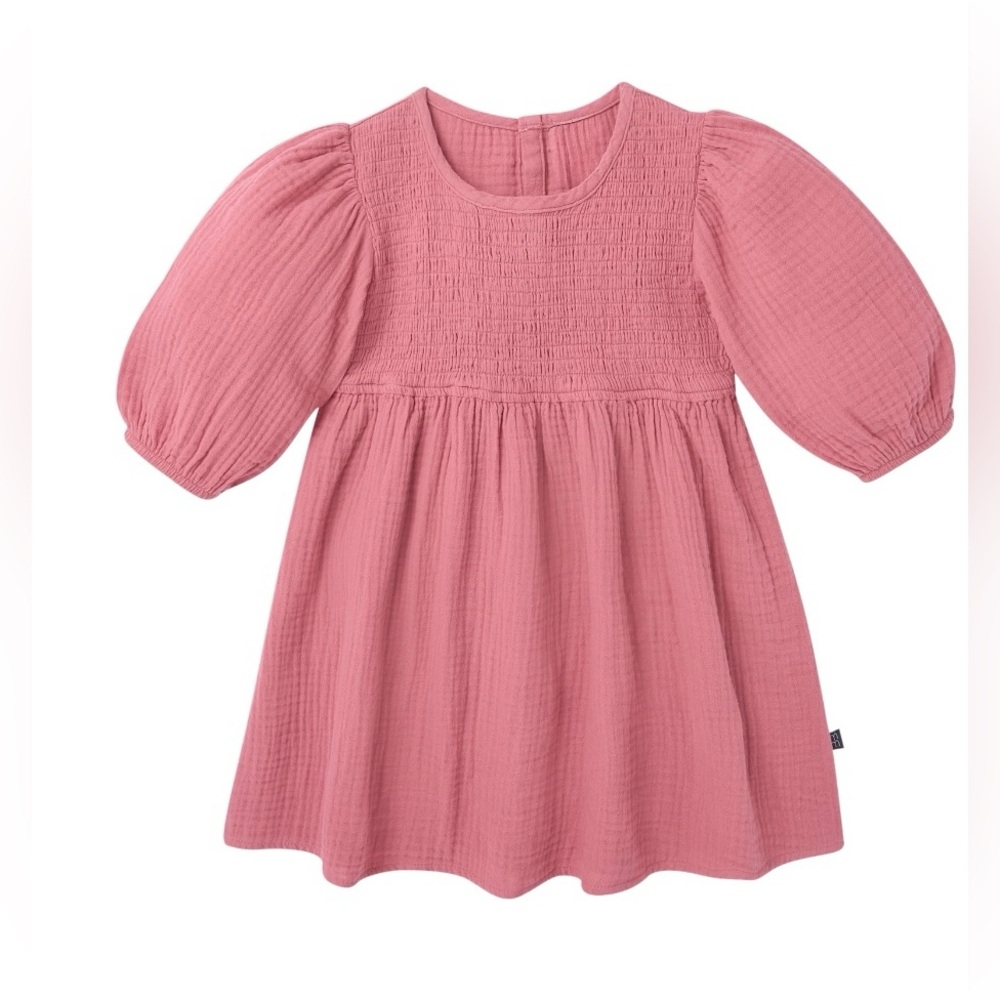 NWT Modern Moments by Gerber 4T Dusty Rose Smocked Cotton Gauze Dress